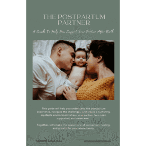 The Postpartum Partner Guide